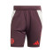 adidas FC Bayern Training 2024-2025 Shorts