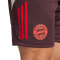 Pantaloncini adidas FC Bayern Training 2024-2025