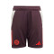 adidas Kids FC Bayern Training 2024-2025 Shorts