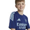 adidas Arsenal FC Training 2024-2025 Niño Trikot