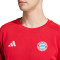 Sweatshirt adidas FC Bayern Fanswear 2024-2025