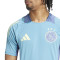 Camiseta adidas Ajax Training 2024-2025