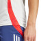 adidas Olympique Lyon Training 2024-2025 Trikot