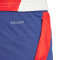 adidas Olympique Lyon Training 2024-2025 Shorts