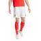 adidas SLB Benfica 2024-2025 Home Shorts