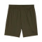 Puma Cloudspun Shorts