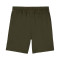 Puma Cloudspun Shorts