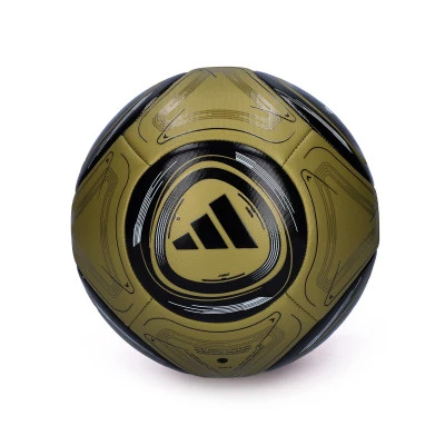 Messi Training Ball