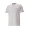 Puma Essentials + 2 Col Small Logo T-Shirt