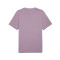 Puma Essentials + 2 Col Small Logo T-Shirt