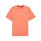 Camisola Puma Essentials Small Logo