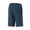 Puma Benodigdheden + 2 Kol 10" Shorts