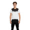 Camiseta Puma Power Colorblock