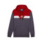 Sudadera Puma Power Colorblock