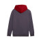 Sweatshirt Puma Power Colorblock