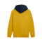 Sweat-shirt Puma Power Colorblock