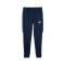 Puma Power Colorblock Trousers