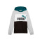 Sweat-shirt Puma Enfant Essentials Block 