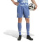 adidas Ajax 2024-2025 Uittenue Shorts