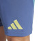 adidas Ajax 2024-2025 Uittenue Shorts