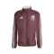 adidas Mexico Pre-Match America Cup 2024 Jacket