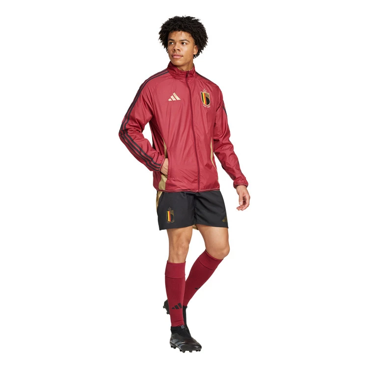 chaqueta-adidas-belgica-pre-match-eurocopa-2024-team-coll-burgundy-2-sand-strata-2