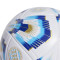 adidas Argentina America Cup 2024 Ball