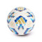 Pallone adidas Argentina Coppa America 2024