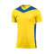 Maillot Nike Park Derby IV m/c