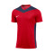 Dres Nike Park Derby IV m/c