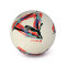 Pallone Puma Orbita LaLiga 2024-2025 Box