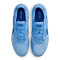 Nike Street Gato Futsal shoes