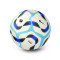 Nike Premier League 2024-2025 Pitch Ball