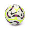 Nike Premier League 2024-2025 Academy Ball