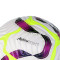 Balón Nike Premier League 2024-2025 Flight