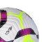 Balón Nike Premier League 2024-2025 Flight