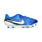 Buty piłkarskie Nike Tiempo Legend 10 Academy FG /MG dla Kids