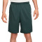 Nike Dri-Fit Totality Knit Shorts