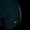 Nike One DriFit Shorts