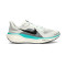 Zapatilla Nike Air Zoom Pegasus 41