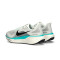 Tenis Nike Air Zoom Pegasus 41