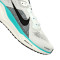 Zapatilla Nike Air Zoom Pegasus 41