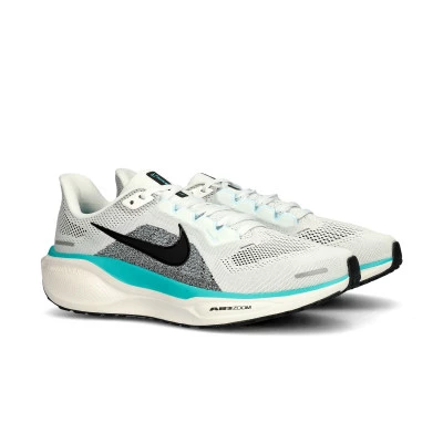 Tenis Air Zoom Pegasus 41