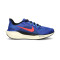 Nike Air Zoom Pegasus 41 Running shoes