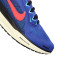 Nike Air Zoom Pegasus 41 Running shoes