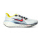 Zapatilla Nike Air Zoom Pegasus 41