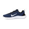 Scarpe Nike Flex Experience Run 12