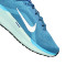 Nike Nike Air Winflo 11 Running shoes