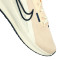 Chaussure Nike W Nike Downshifter 13