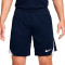 Nike Dri-Fit Strike Shorts